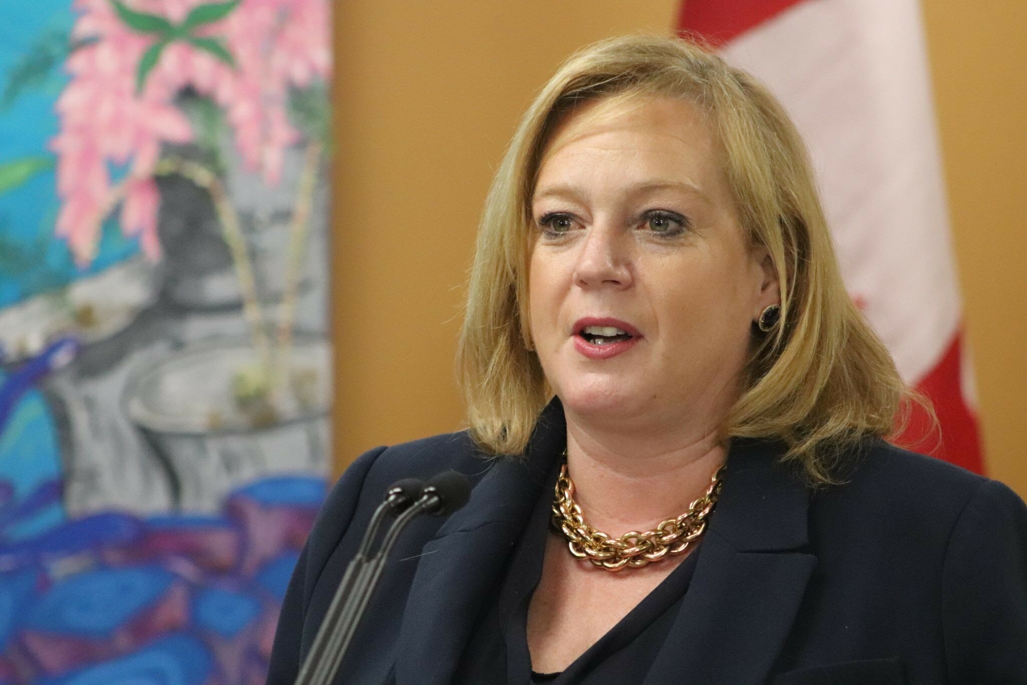 MPP MacLeod Back At Work After Bipolar Diagnosis - Barrhaven Independent