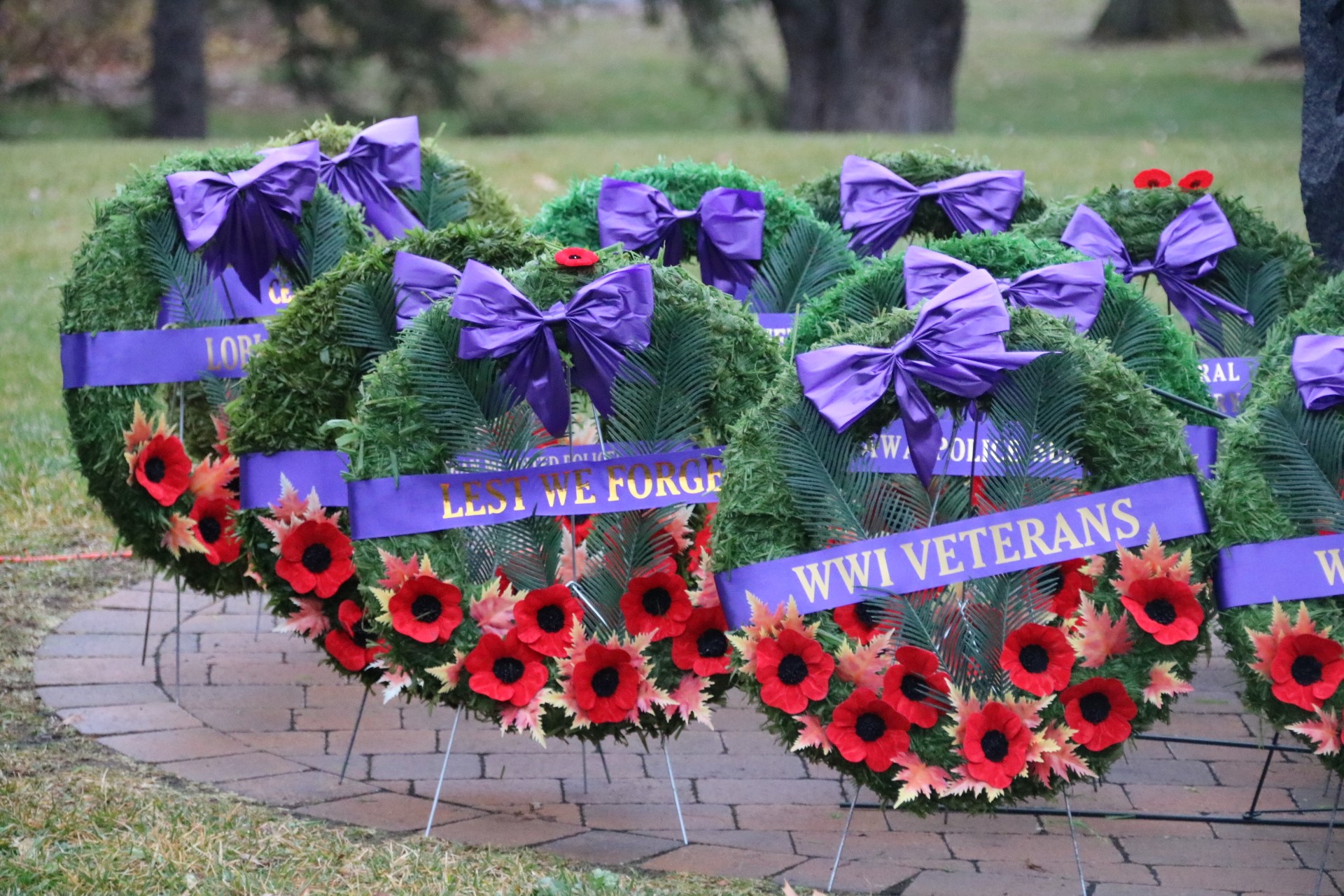 The Royal Canadian Legion launches 2021 National Poppy Campaign