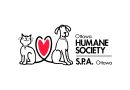 Ottawa Humane Society Seeking New Board Members